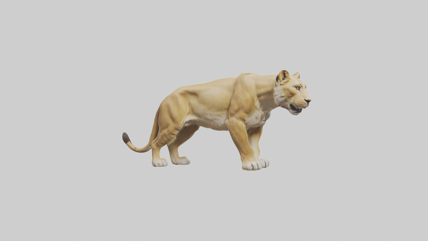 3D model Lioness hunting model VR / AR / low-poly