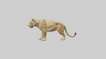 3D model Lioness hunting model VR / AR / low-poly