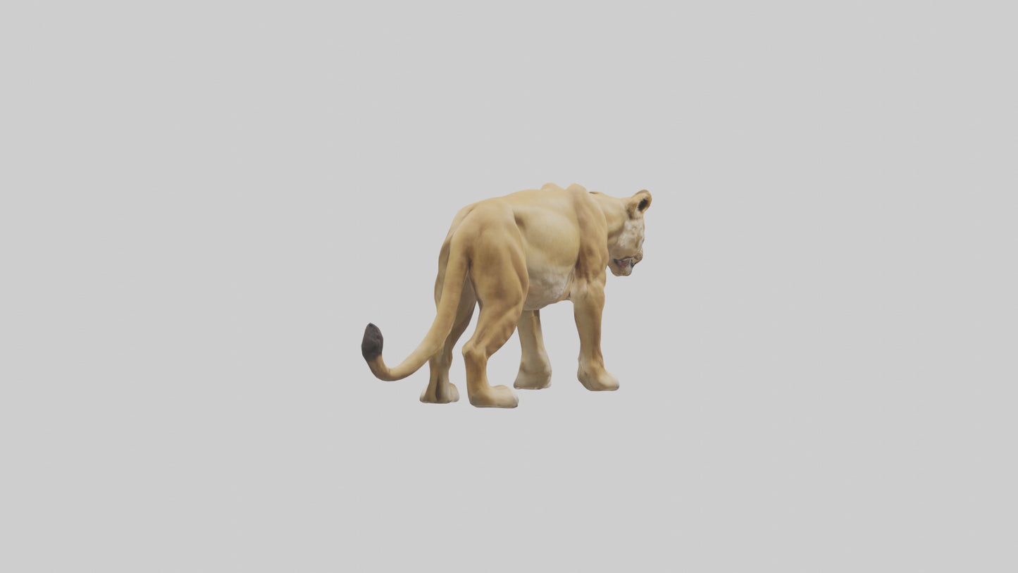 3D model Lioness hunting model VR / AR / low-poly