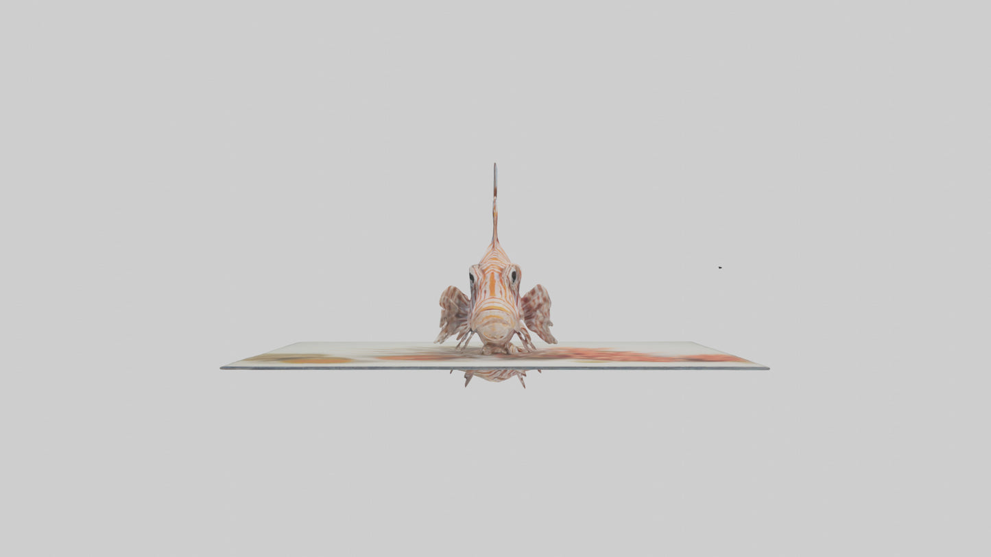 3D model Lionfish hiding among coral model VR / AR / low-poly