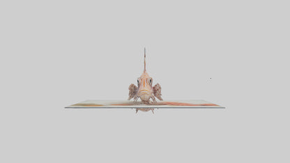 3D model Lionfish hiding among coral model VR / AR / low-poly