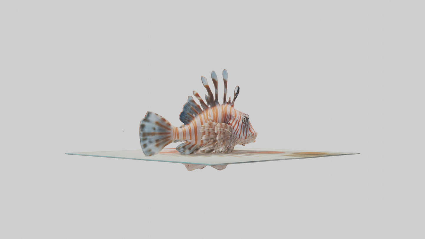 3D model Lionfish hiding among coral model VR / AR / low-poly