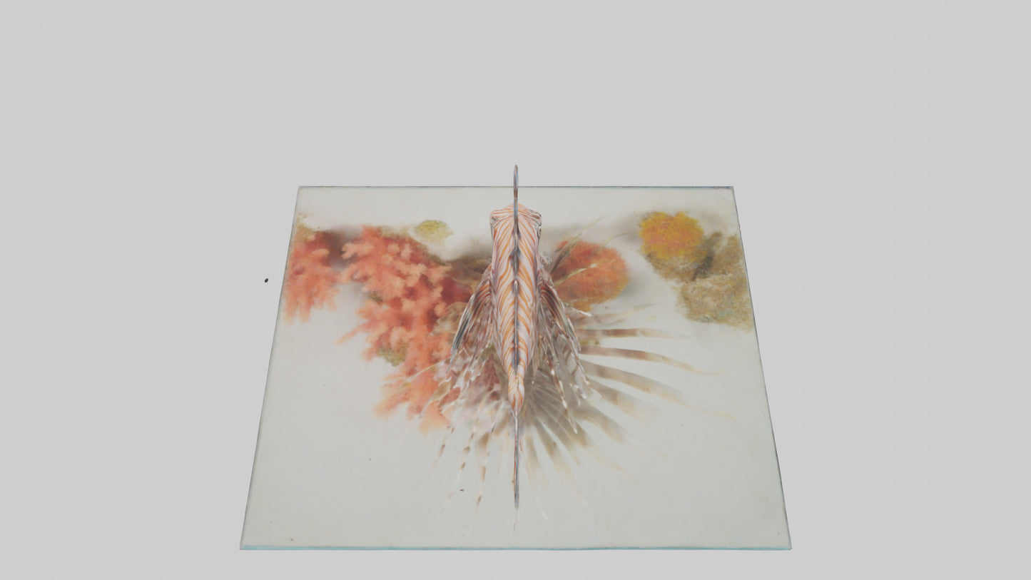 3D model Lionfish hiding among coral model VR / AR / low-poly