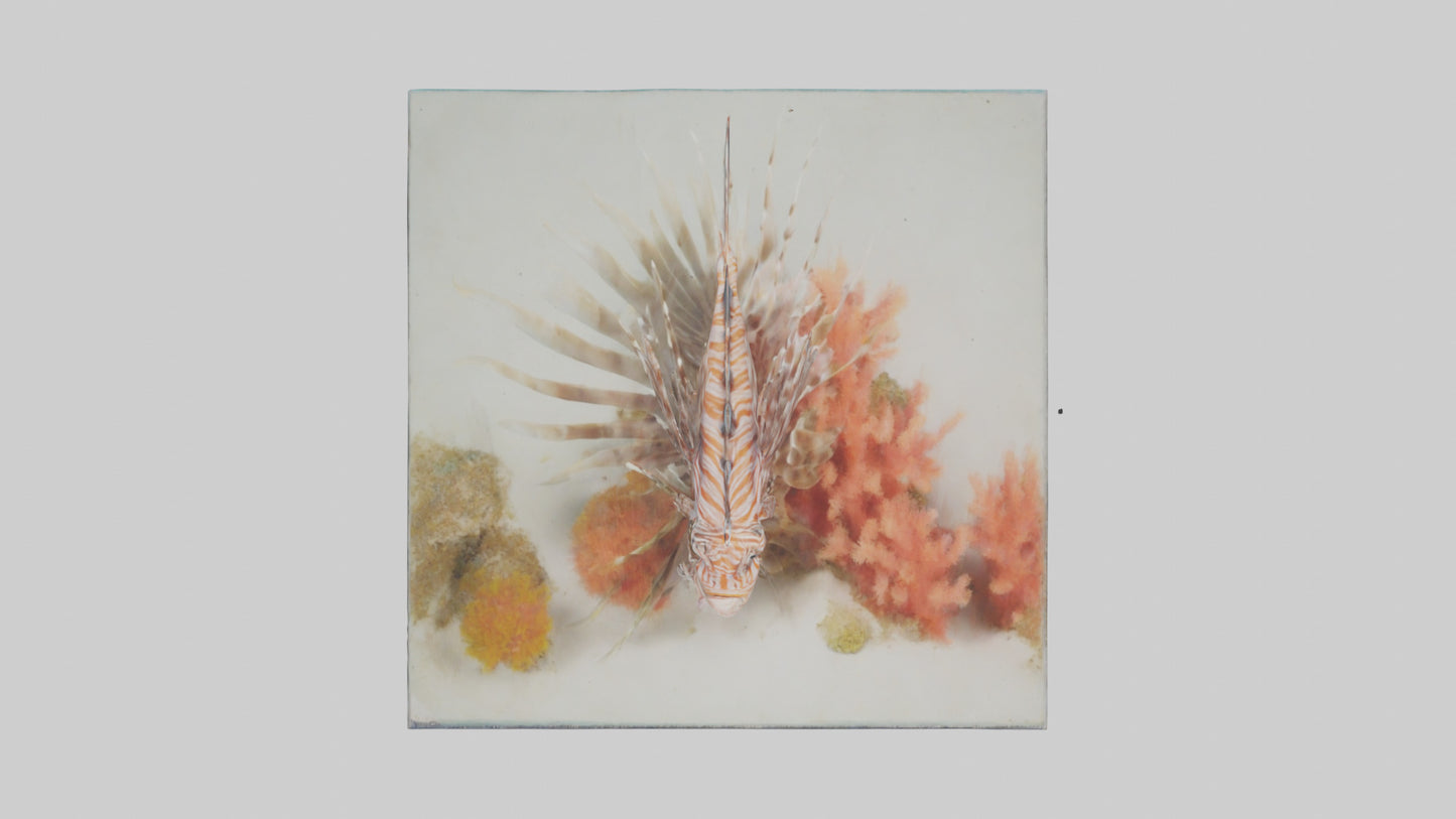 3D model Lionfish hiding among coral model VR / AR / low-poly