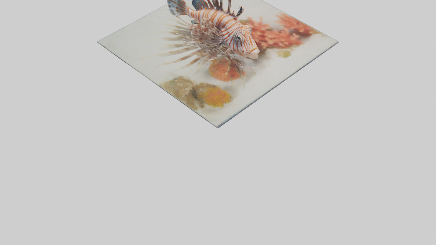 3D model Lionfish hiding among coral model VR / AR / low-poly