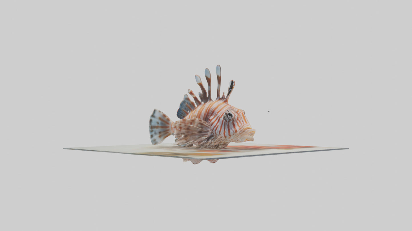 3D model Lionfish hiding among coral model VR / AR / low-poly