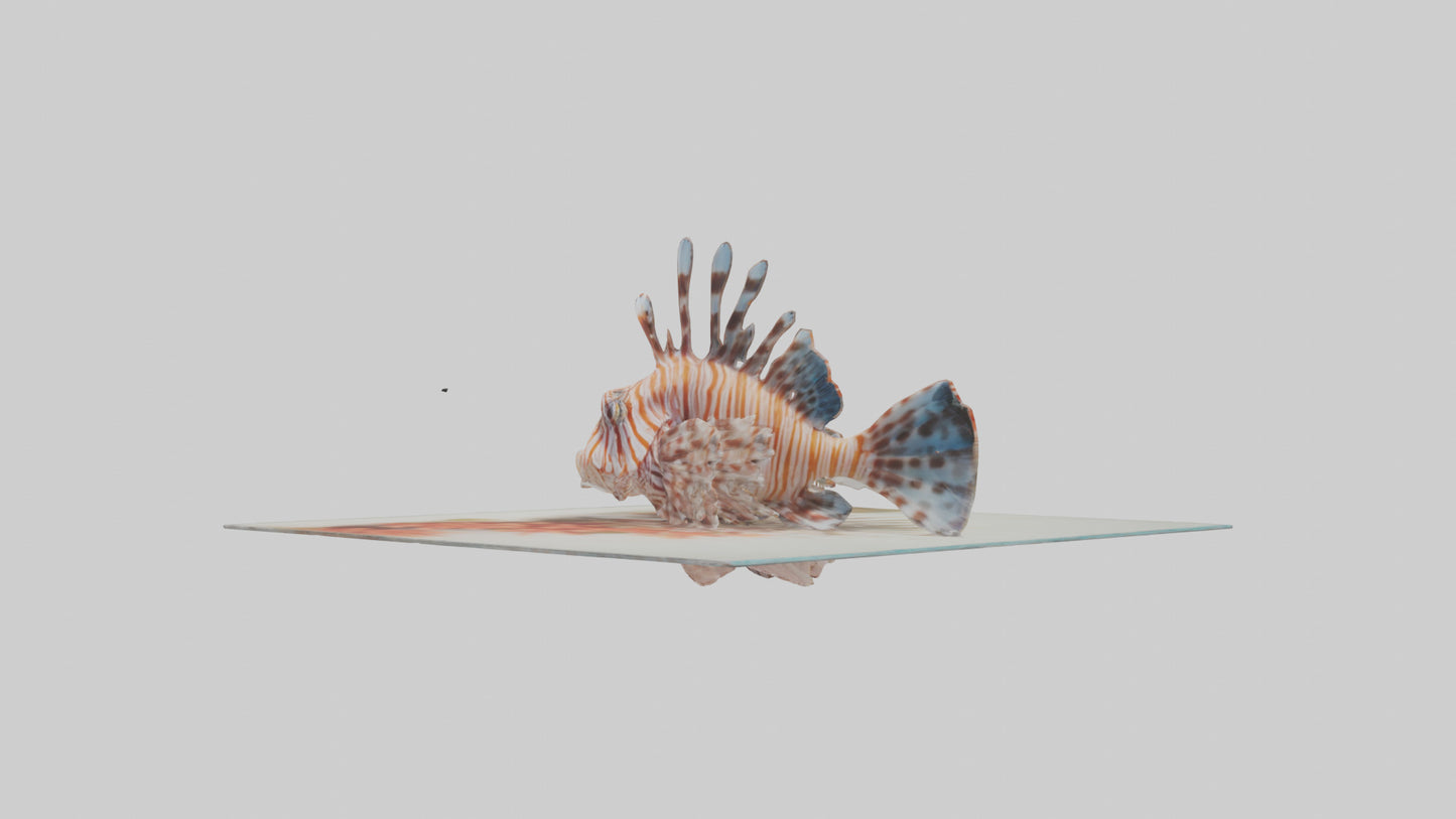 3D model Lionfish hiding among coral model VR / AR / low-poly