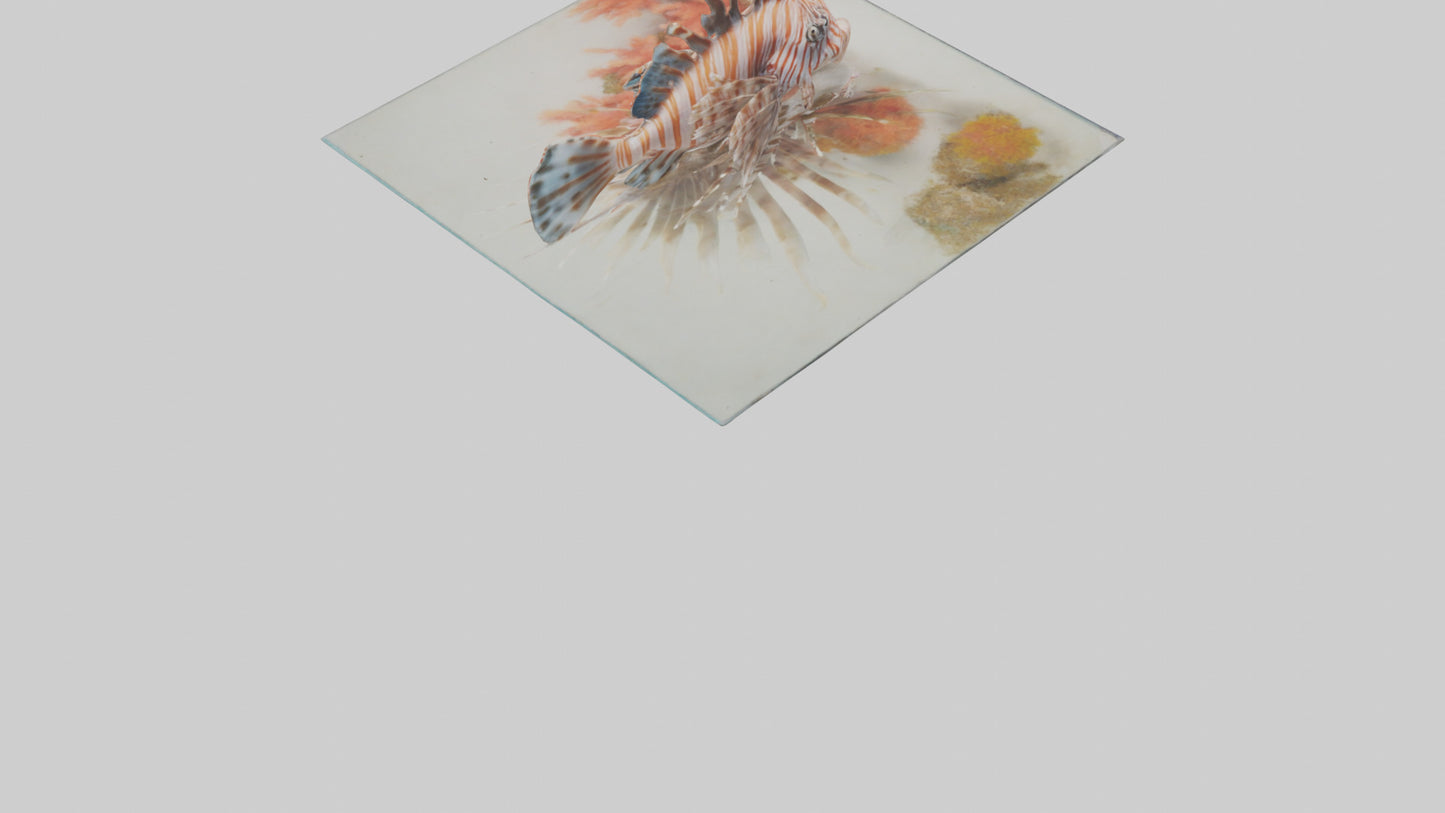 3D model Lionfish hiding among coral model VR / AR / low-poly