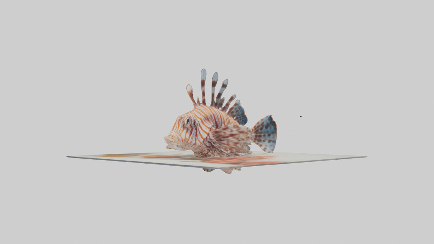 3D model Lionfish hiding among coral model VR / AR / low-poly
