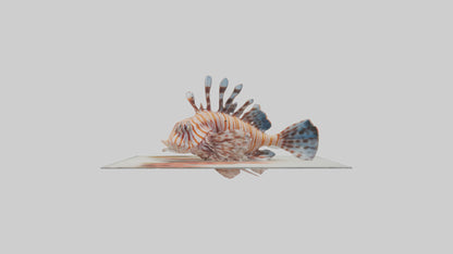 3D model Lionfish hiding among coral model VR / AR / low-poly
