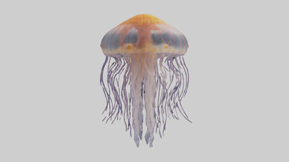 3D model Lions Mane Jellyfish drifting model VR / AR / low-poly