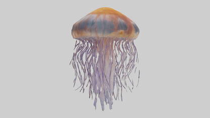 3D model Lions Mane Jellyfish drifting model VR / AR / low-poly