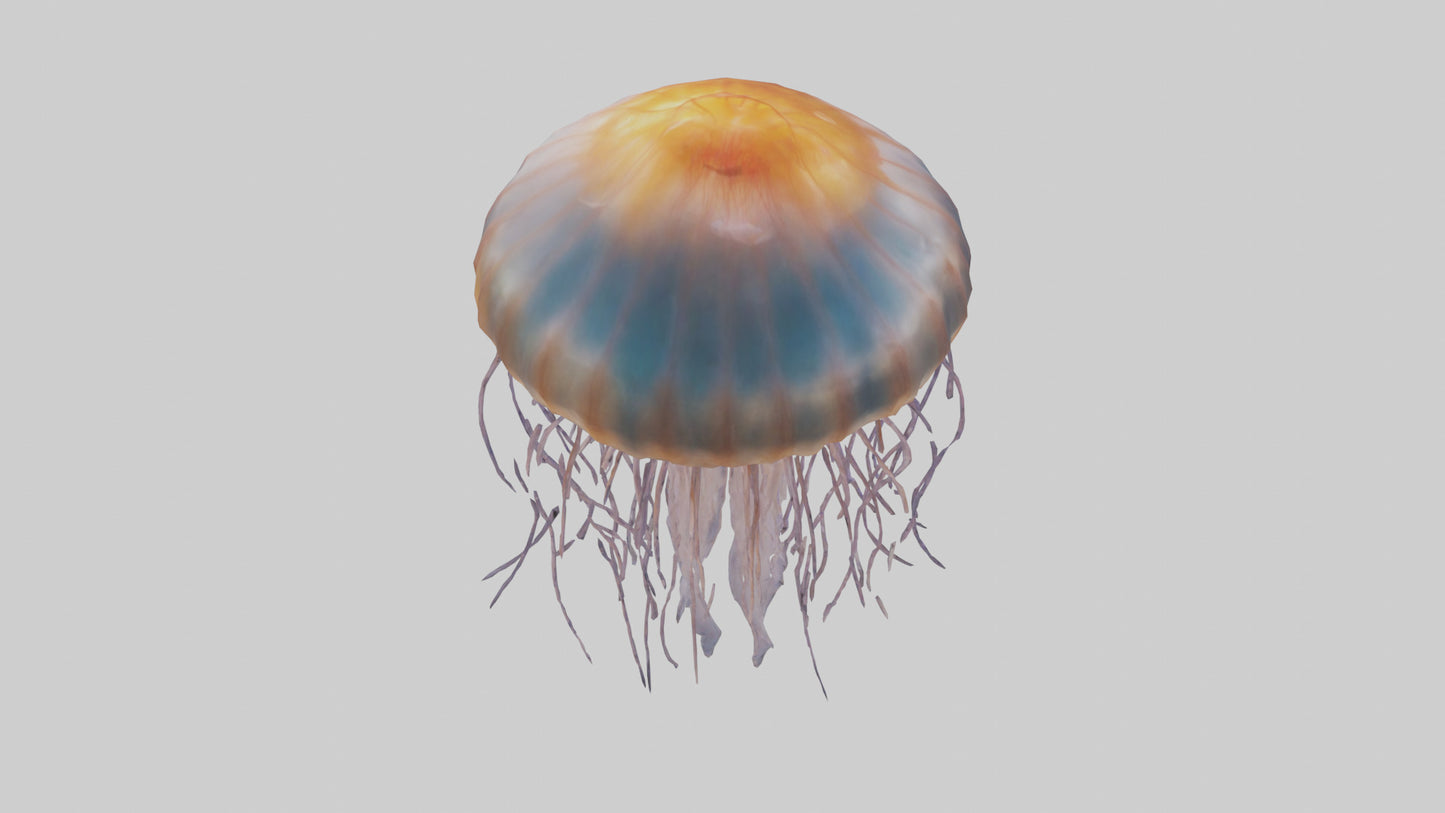 3D model Lions Mane Jellyfish drifting model VR / AR / low-poly
