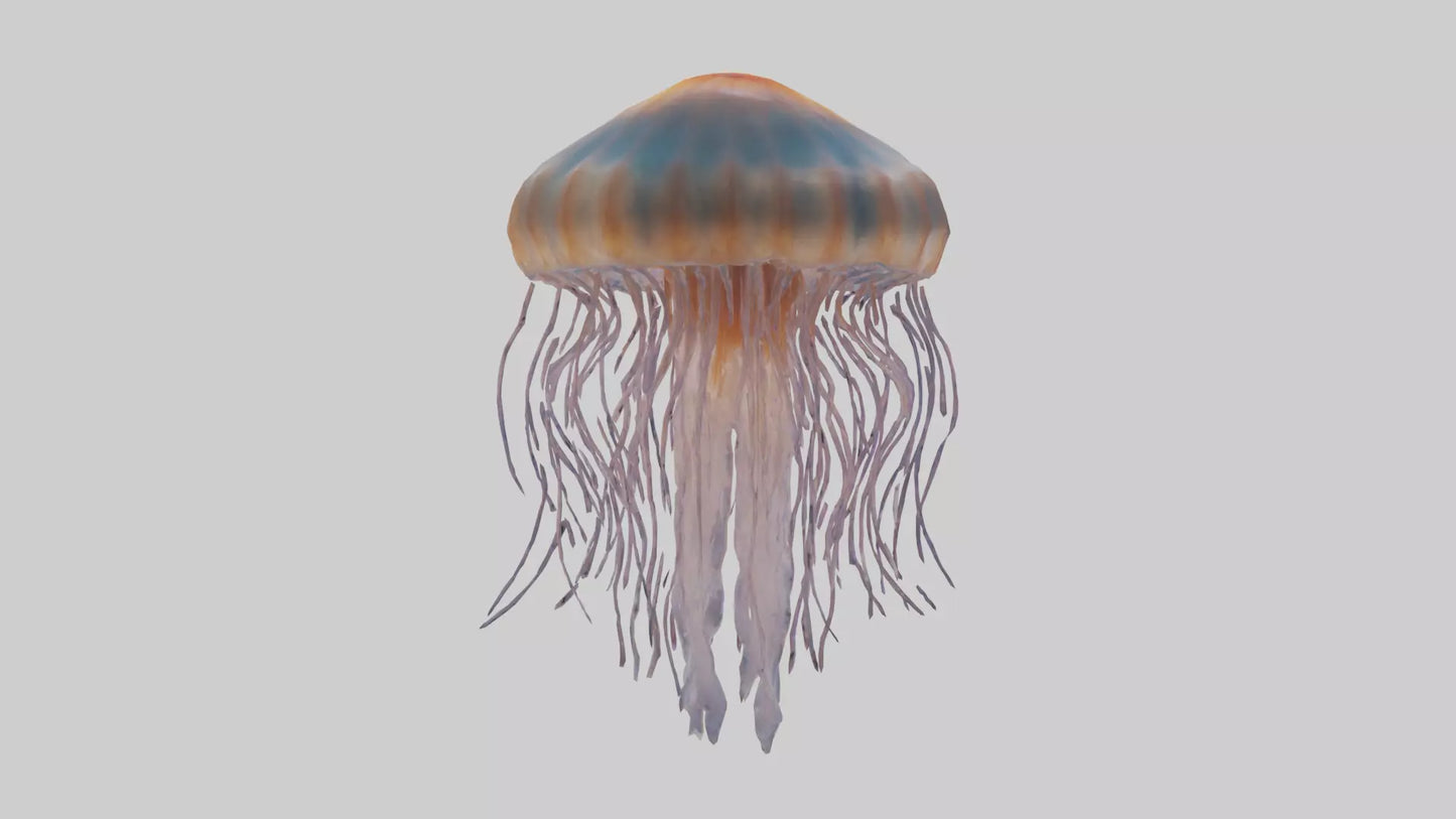3D model Lions Mane Jellyfish drifting model VR / AR / low-poly