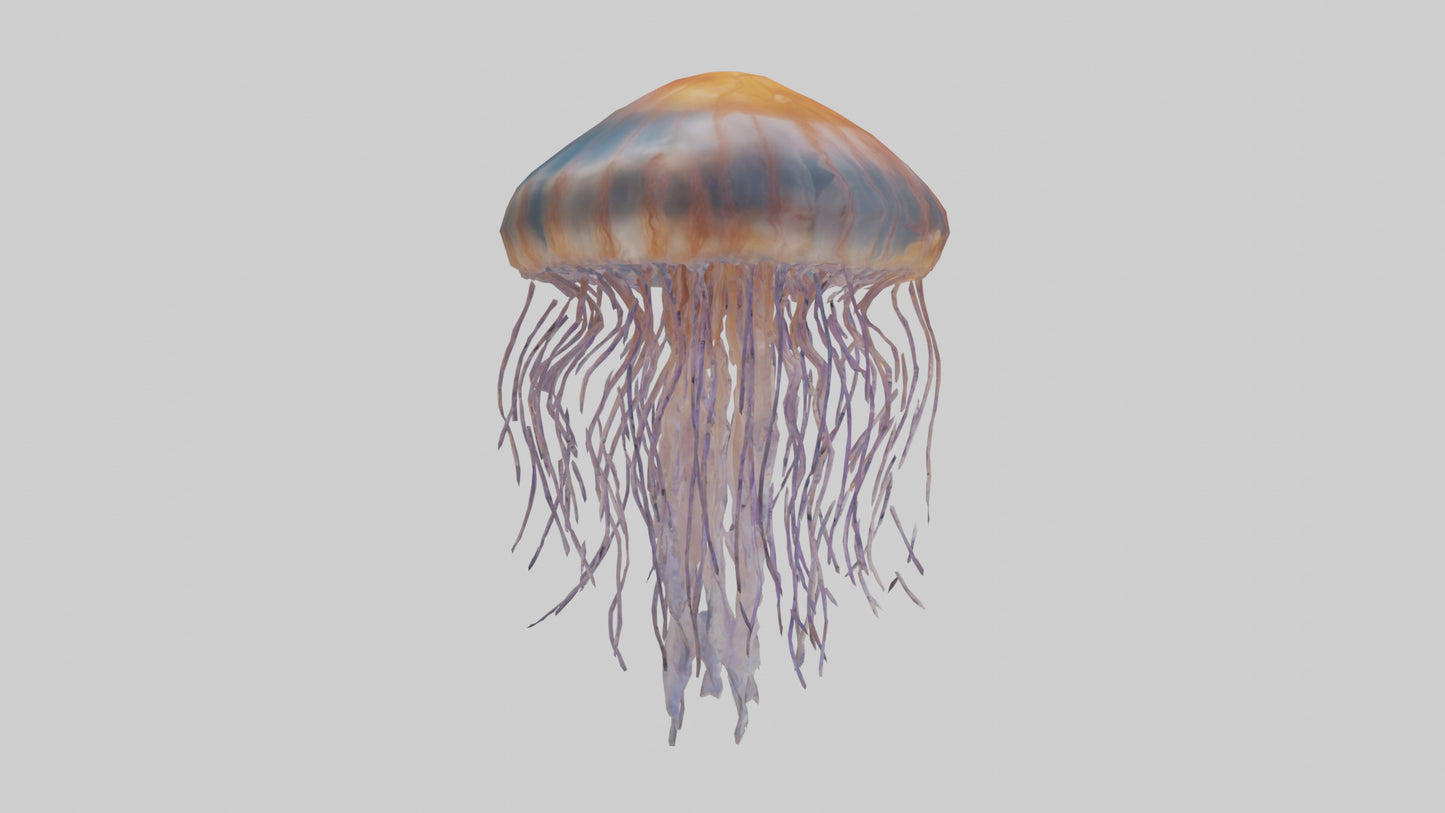 3D model Lions Mane Jellyfish drifting model VR / AR / low-poly