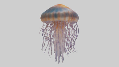 3D model Lions Mane Jellyfish drifting model VR / AR / low-poly