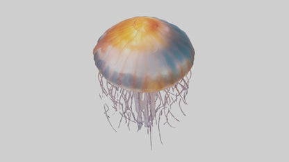 3D model Lions Mane Jellyfish drifting model VR / AR / low-poly