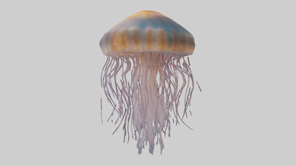 3D model Lions Mane Jellyfish drifting model VR / AR / low-poly