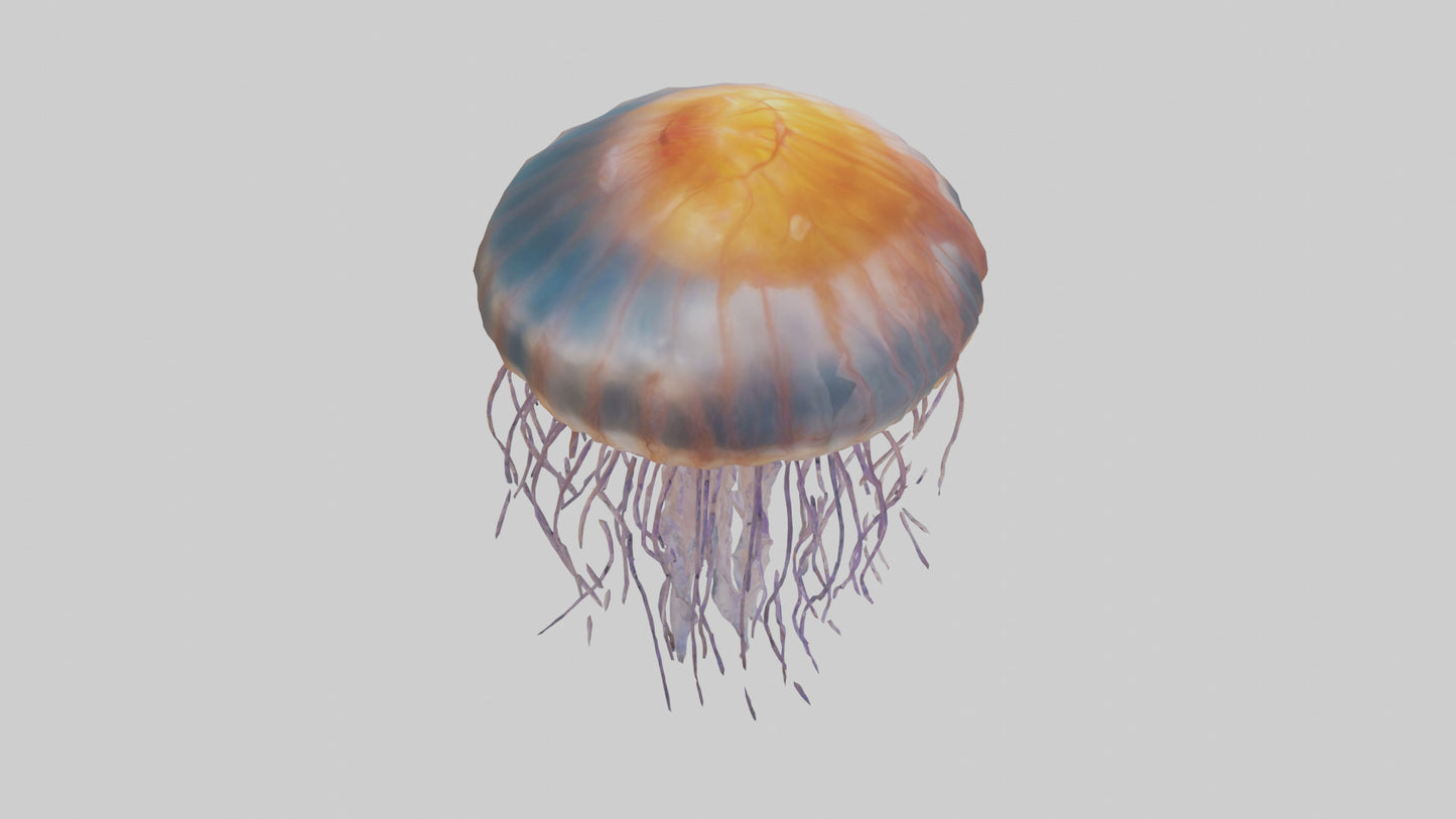 3D model Lions Mane Jellyfish drifting model VR / AR / low-poly