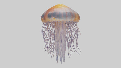 3D model Lions Mane Jellyfish drifting model VR / AR / low-poly
