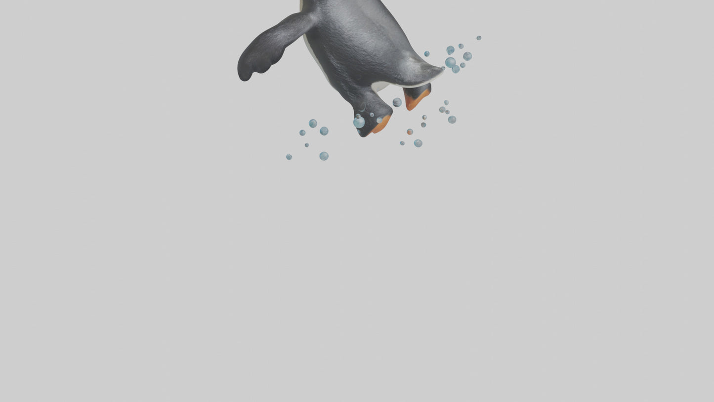 Little Penguin swimming model VR / AR / low-poly