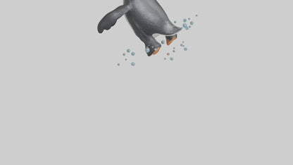 Little Penguin swimming model VR / AR / low-poly