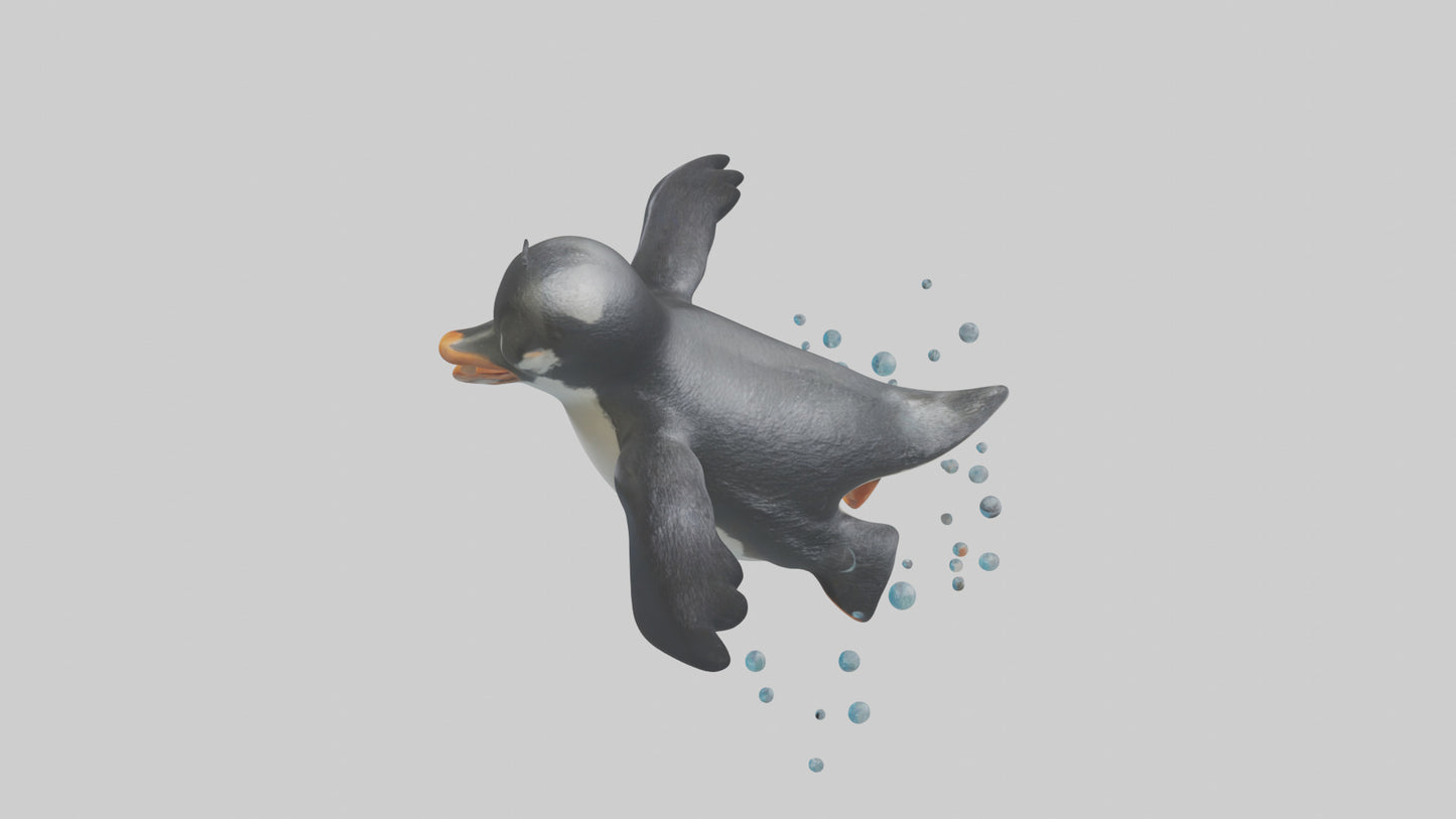 Little Penguin swimming model VR / AR / low-poly