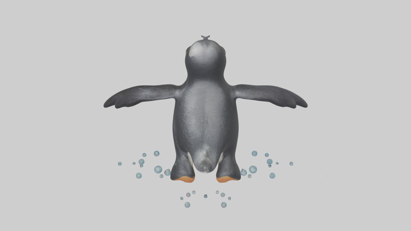 Little Penguin swimming model VR / AR / low-poly