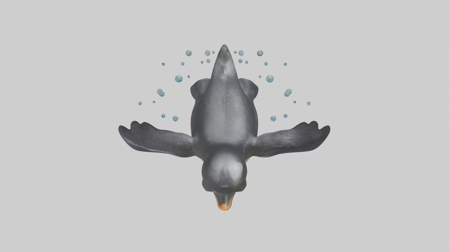 Little Penguin swimming model VR / AR / low-poly