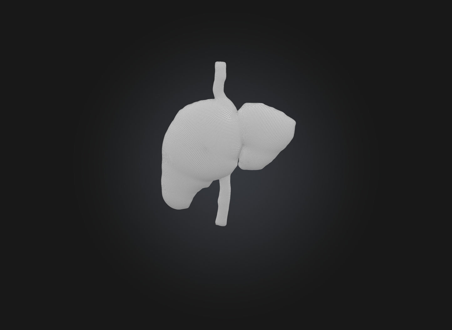 3D model liver organ VR / AR / low-poly