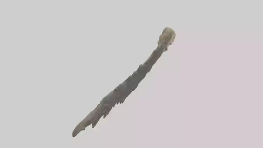 3D model Lizard Rib VR / AR / low-poly