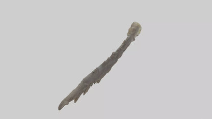 3D model Lizard Rib VR / AR / low-poly