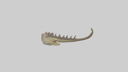 3D model Lizard Spine 2 VR / AR / low-poly