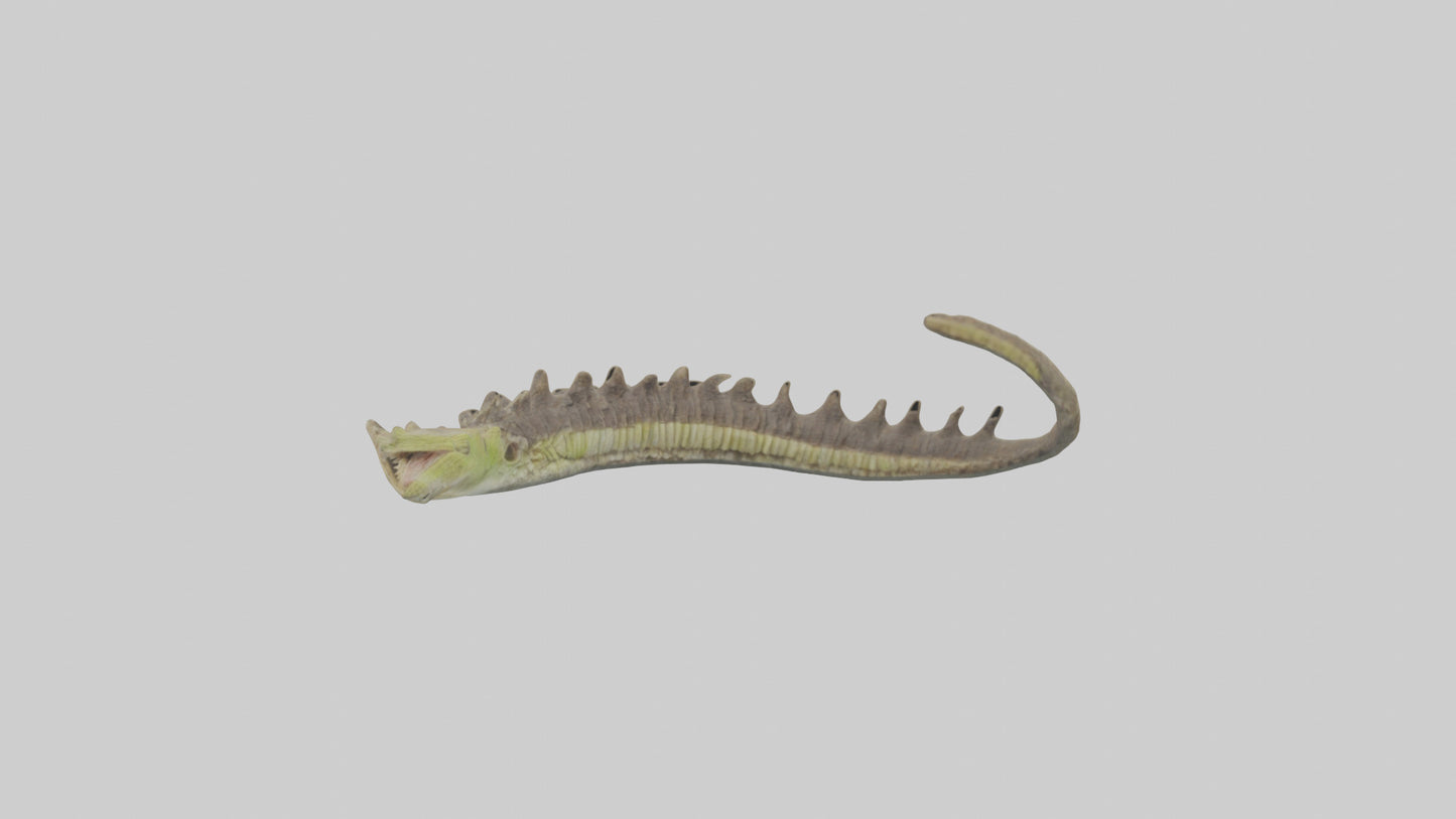 3D model Lizard Spine 2 VR / AR / low-poly