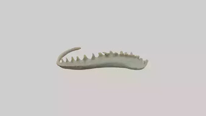 3D model Lizard Spine 2 VR / AR / low-poly