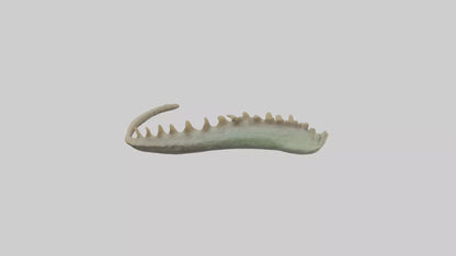 3D model Lizard Spine 2 VR / AR / low-poly