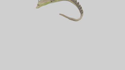 3D model Lizard Spine 2 VR / AR / low-poly