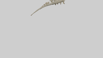 3D model Lizard Spine VR / AR / low-poly