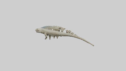 3D model Lizard Spine VR / AR / low-poly
