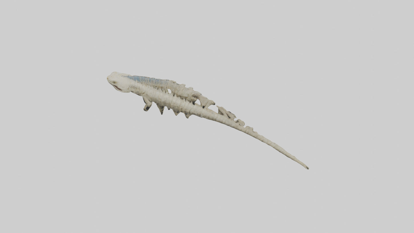 3D model Lizard Spine VR / AR / low-poly