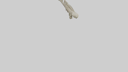 3D model Lizard Spine VR / AR / low-poly
