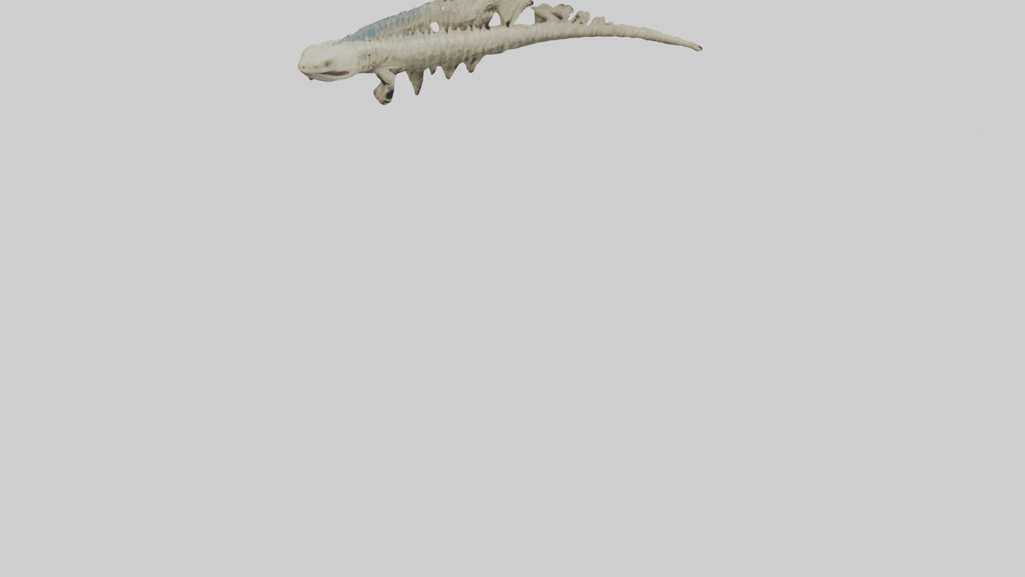 3D model Lizard Spine VR / AR / low-poly