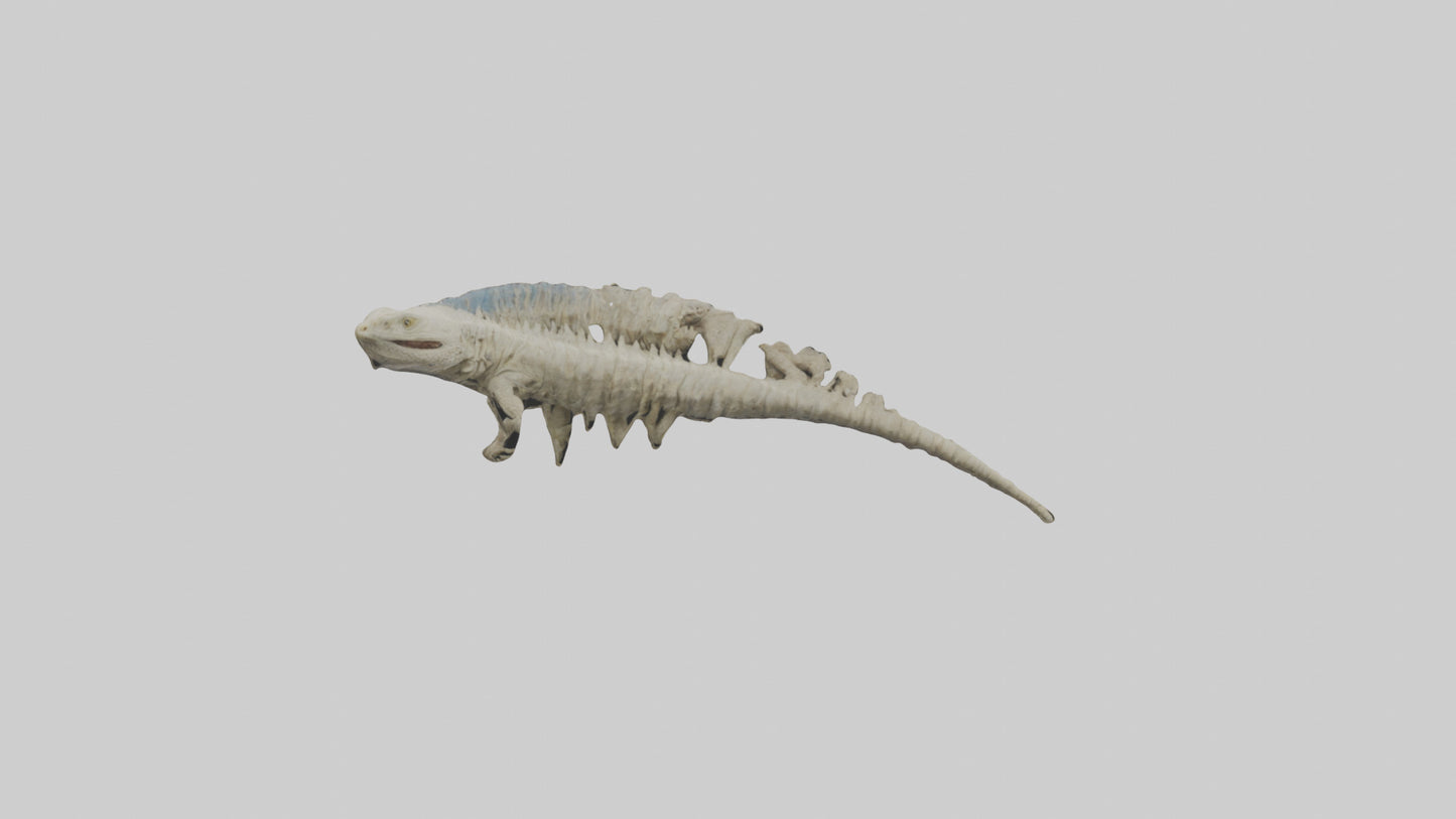 3D model Lizard Spine VR / AR / low-poly