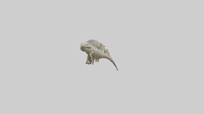 3D model Lizard Spine VR / AR / low-poly