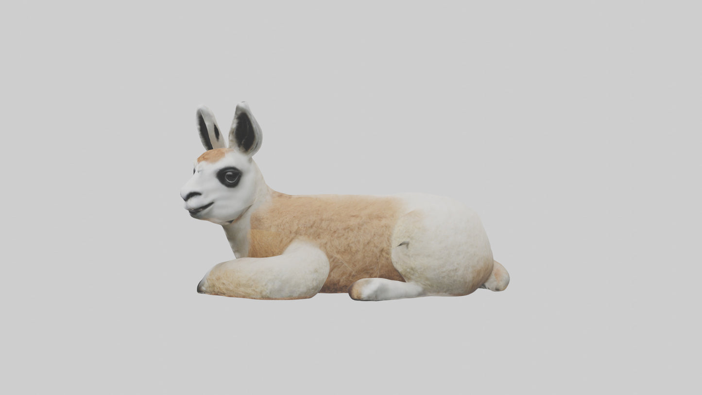 3D model Llama lying down model VR / AR / low-poly