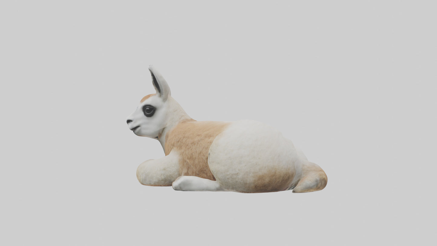3D model Llama lying down model VR / AR / low-poly