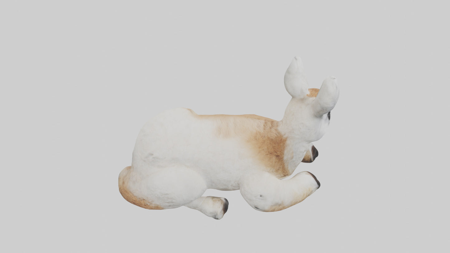 3D model Llama lying down model VR / AR / low-poly