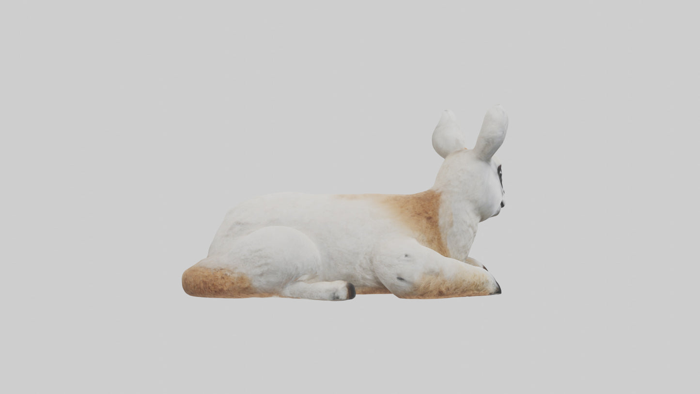 3D model Llama lying down model VR / AR / low-poly