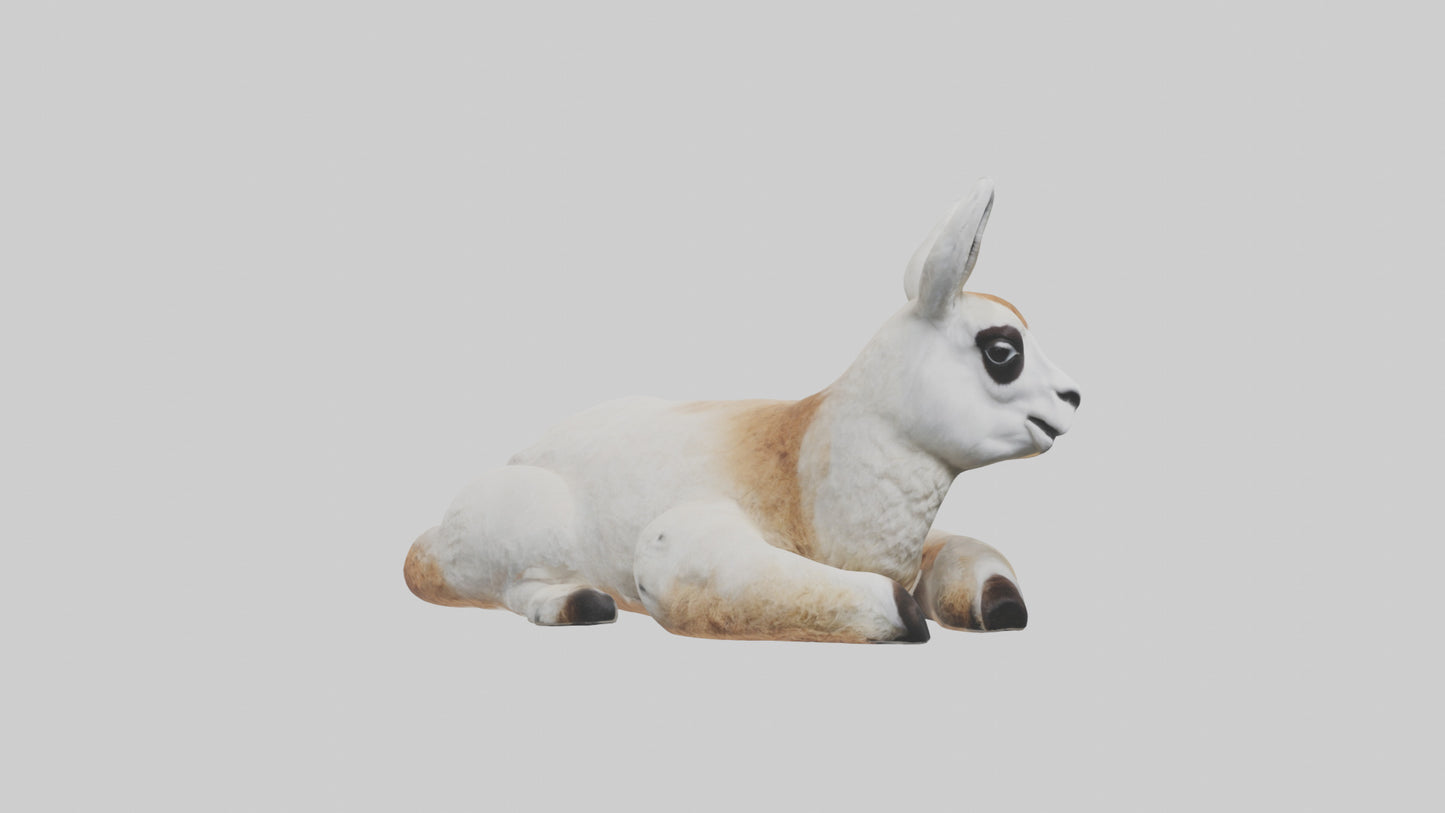 3D model Llama lying down model VR / AR / low-poly