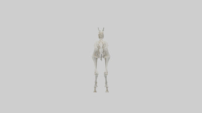 3D model Llama Skeleton model VR / AR / low-poly